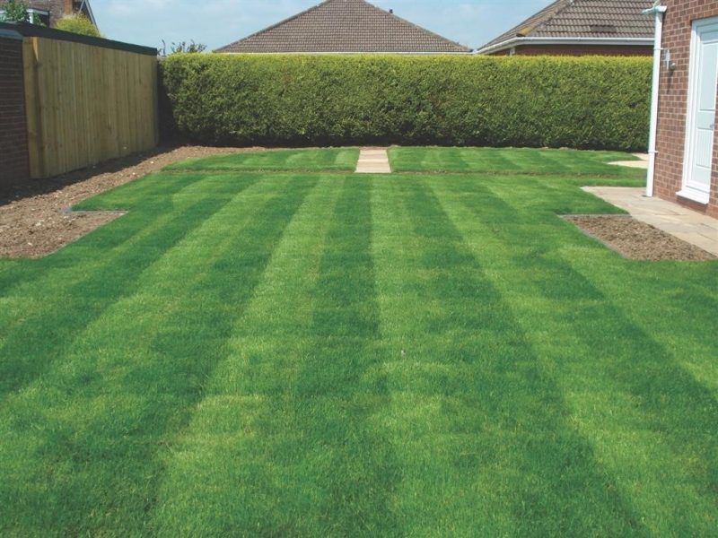 Lawn Installation Rugby