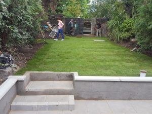 Lawn Installation Rugby